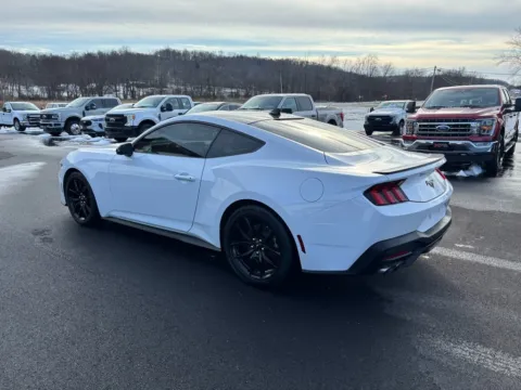 More photos of 2024 Ford Mustang at Fahey Imports, OH