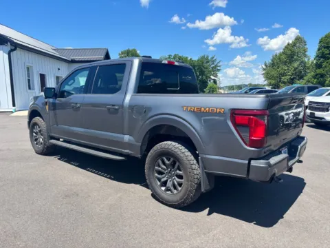 More photos of 2025 Ford F-150 Tremor at Fahey Imports, OH