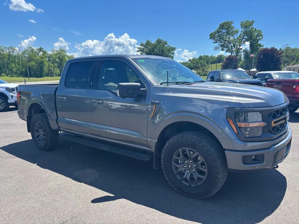 2025 Ford F-150 Tremor - Photo 8