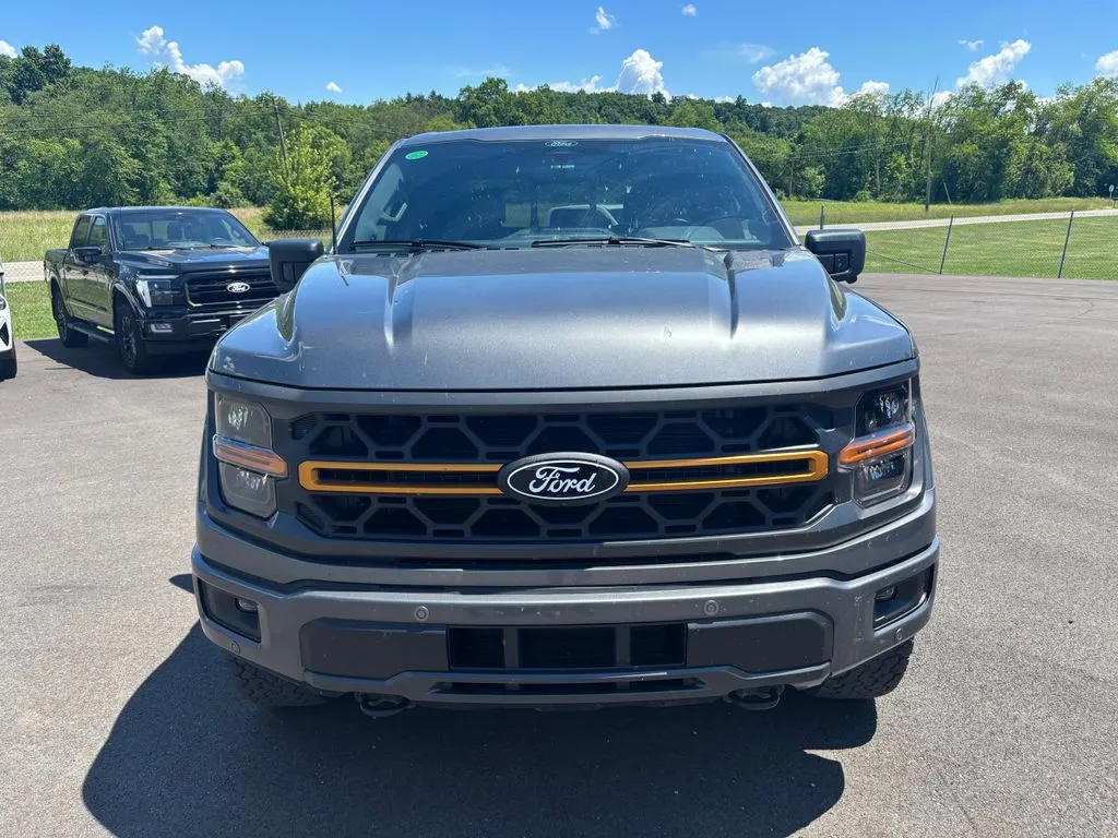 2025 Ford F-150 Tremor - Photo 9