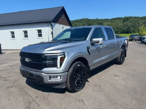 Silver 2024 Ford F-150 Platinum for sale in Crooksville, OH