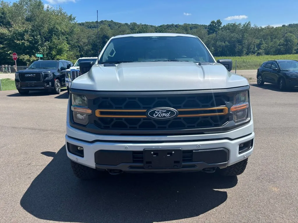2025 Ford F-150 Tremor - Photo 9