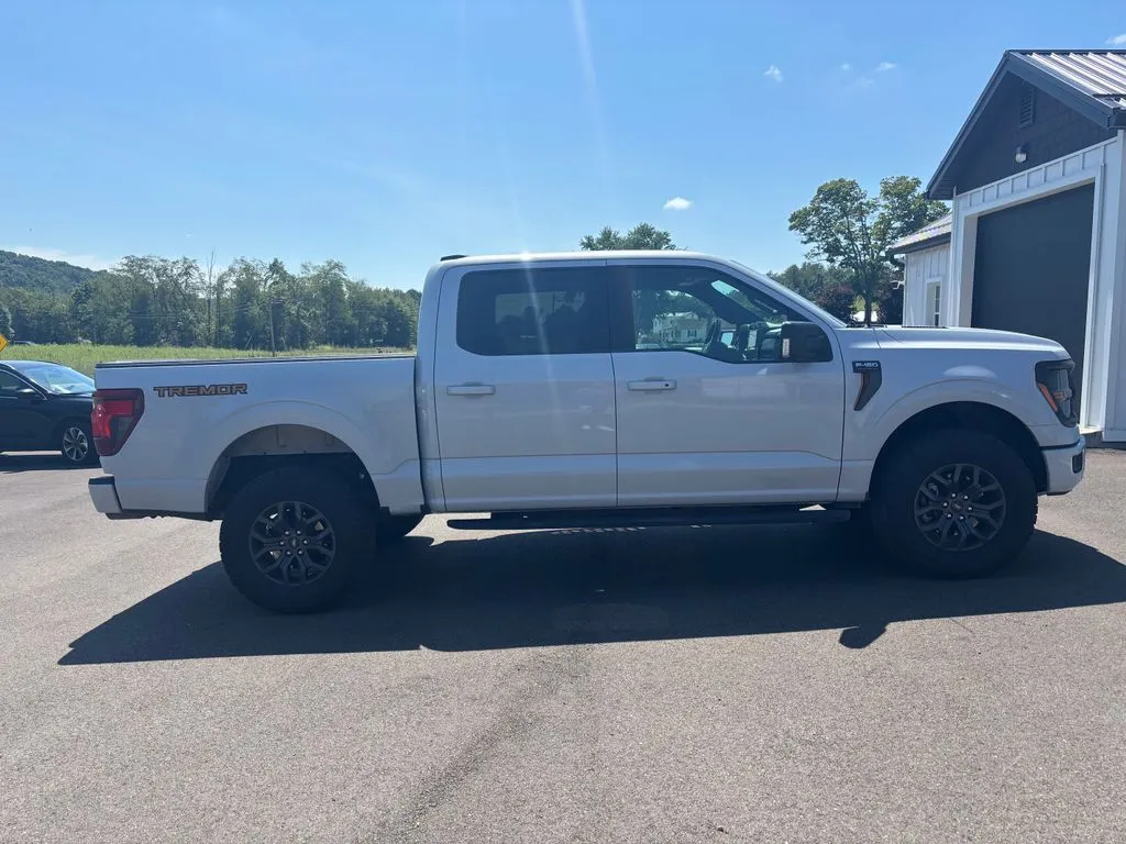 2025 Ford F-150 Tremor - Photo 7