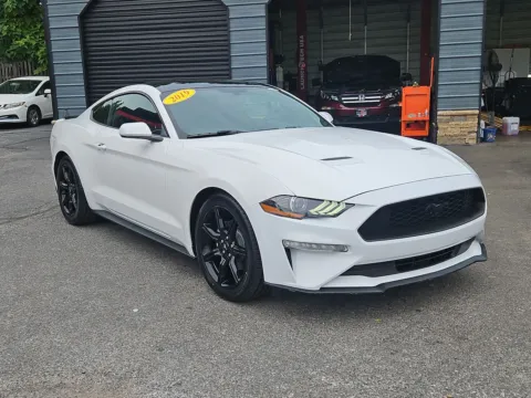 Another view of 2019 FORD MUSTANG ECOBOOST for sale in Gaithersburg, MD at Mr. Car of Gaithersburg