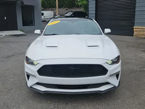 More photos of 2019 FORD MUSTANG ECOBOOST at Mr. Car of Gaithersburg, MD