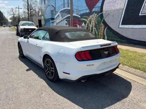 More photos of 2022 Ford Mustang EcoBoost Premium at D3 Auto Sales - Des Arc, AR, AR