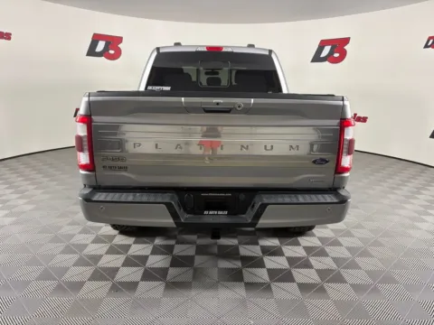 More photos of 2021 Ford F-150 Platinum at D3 Auto Sales - Des Arc, AR, AR