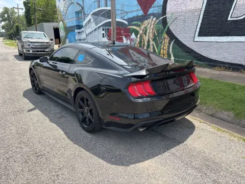 More photos of 2020 Ford Mustang EcoBoost at D3 Auto Sales - Des Arc, AR, AR