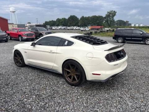 Another view of 2015 Ford Mustang GT 50 Years Limited Edition for sale in Des Arc, AR at D3 Auto Sales - Des Arc, AR