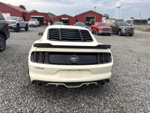 More photos of 2015 Ford Mustang GT 50 Years Limited Edition at D3 Auto Sales - Des Arc, AR, AR