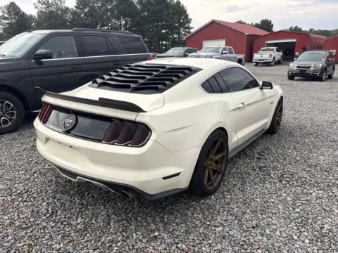 More photos of 2015 Ford Mustang GT 50 Years Limited Edition at D3 Auto Sales - Des Arc, AR, AR