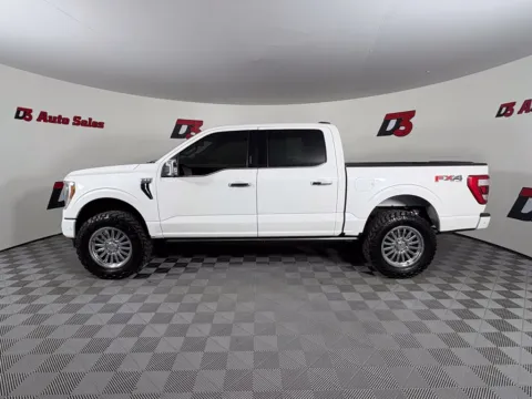 More photos of 2023 Ford F-150 Platinum at D3 Auto Sales - Des Arc, AR, AR