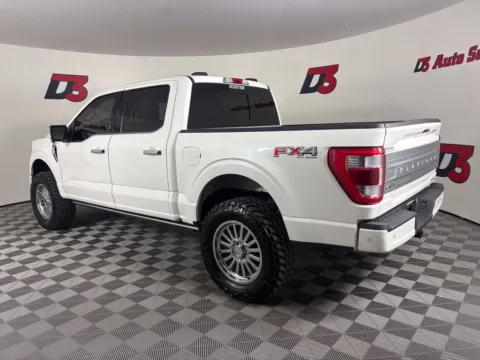 More photos of 2023 Ford F-150 Platinum at D3 Auto Sales - Des Arc, AR, AR