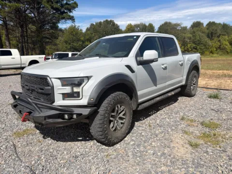 Gray 2017 Ford F-150 Raptor for sale in Des Arc, AR