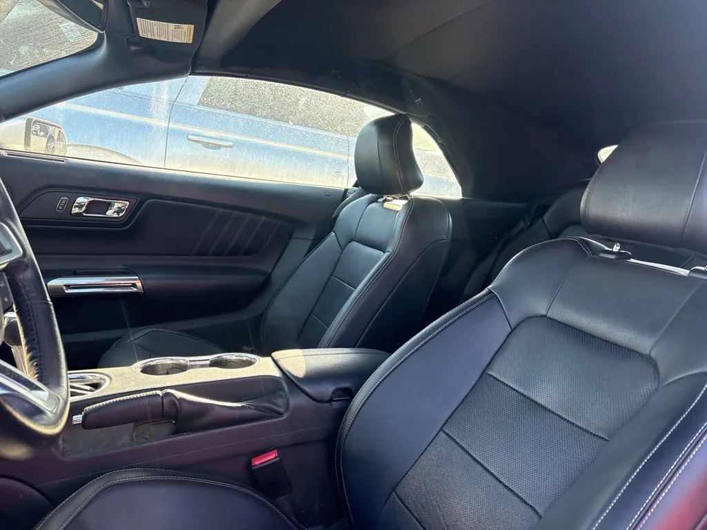Ford Mustang photo 11