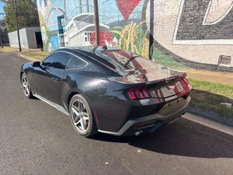 More photos of 2025 Ford Mustang EcoBoost at D3 Auto Sales - Des Arc, AR, AR