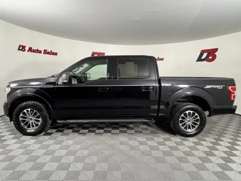 Another view of 2019 Ford F-150 XLT for sale in Des Arc, AR at D3 Auto Sales - Des Arc, AR