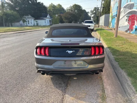 More photos of 2022 Ford Mustang EcoBoost Premium at D3 Auto Sales - Des Arc, AR, AR