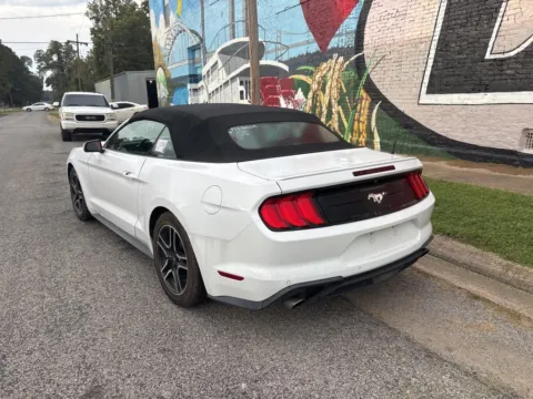 More photos of 2022 Ford Mustang EcoBoost Premium at D3 Auto Sales - Des Arc, AR, AR