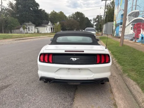 More photos of 2022 Ford Mustang EcoBoost Premium at D3 Auto Sales - Des Arc, AR, AR