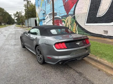 More photos of 2023 Ford Mustang EcoBoost Premium at D3 Auto Sales - Des Arc, AR, AR