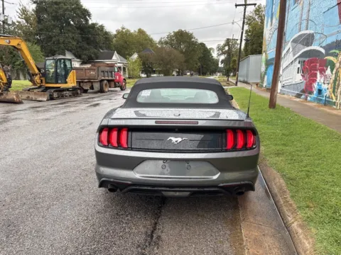 More photos of 2023 Ford Mustang EcoBoost Premium at D3 Auto Sales - Des Arc, AR, AR