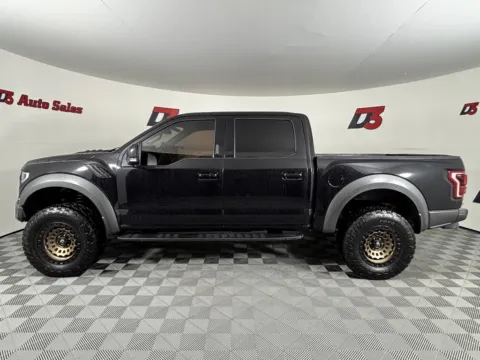 Another view of 2019 Ford F-150 Raptor for sale in Des Arc, AR at D3 Auto Sales - Des Arc, AR