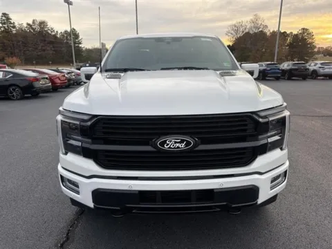 Photos of 2024 Ford F-150 Platinum for sale in Danville, VA at Blackwell Chrysler Dodge Jeep Ram Fiat Kia