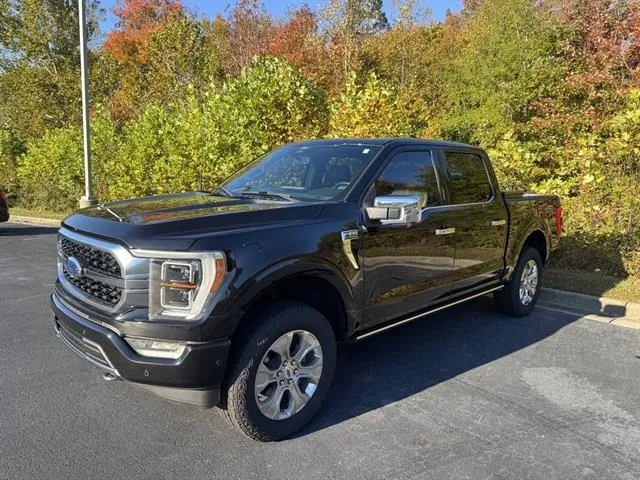 2022 Ford F-150 Platinum for sale in Danville, VA