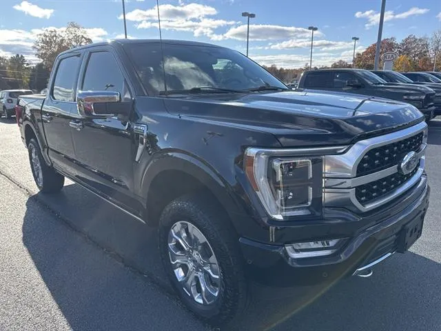 2022 Ford F-150 Platinum's photo