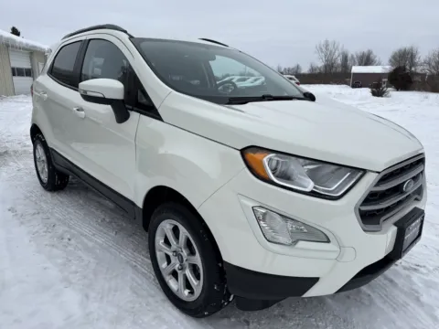 White 2020 Ford EcoSport SE for sale in Wayland, MI