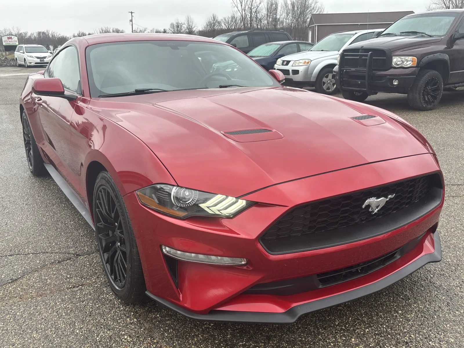 Red 2020 Ford Mustang EcoBoost for sale in Wayland, MI