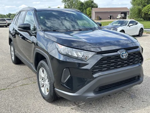Black 2019 Toyota RAV4 Hybrid LE for sale in Wayland, MI