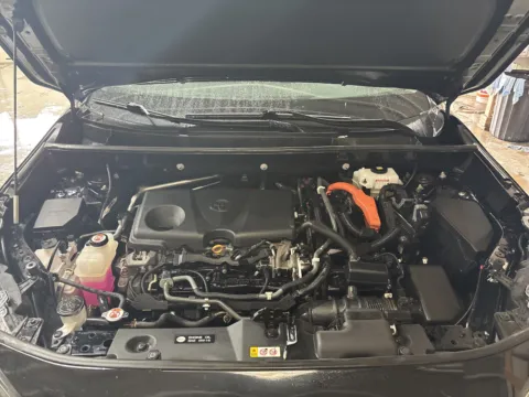 Black 2019 Toyota RAV4 Hybrid LE for sale in Wayland, MI