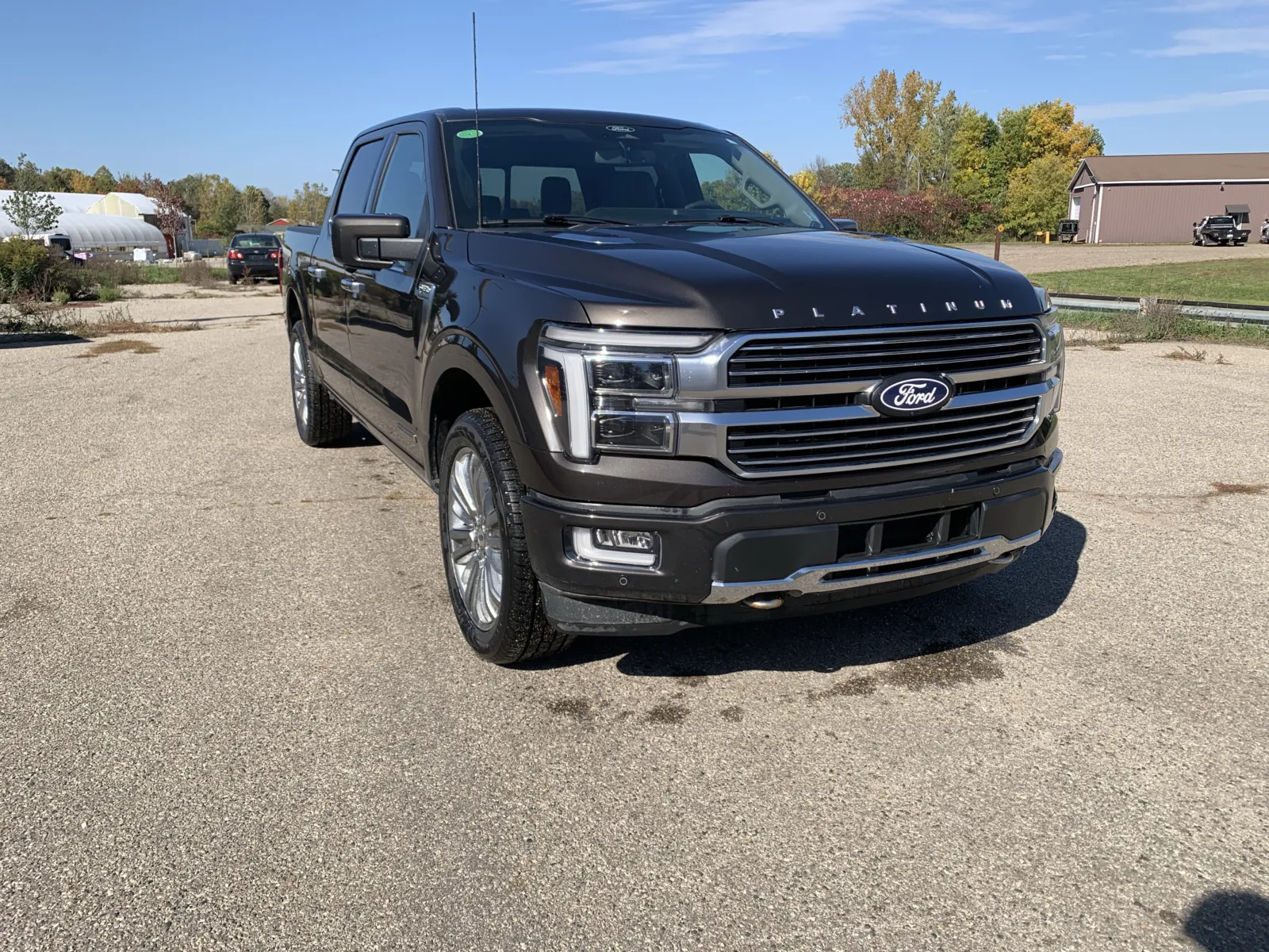 Brown 2024 Ford F-150 Platinum for sale in Wayland, MI