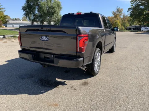 Another view of 2024 Ford F-150 Platinum for sale in Wayland, MI at Twins Chrysler Dodge Jeep Ram