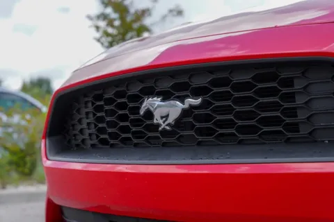 More photos of 2022 Ford Mustang EcoBoost Premium at Foreign Auto Connect, IN