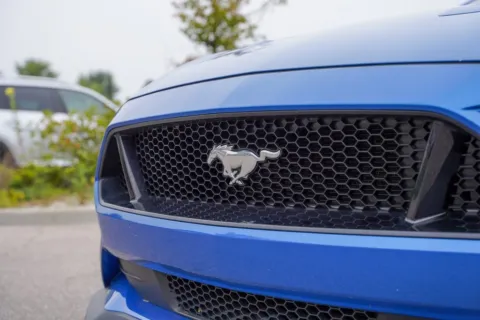 More photos of 2019 Ford Mustang GT at Foreign Auto Connect, IN