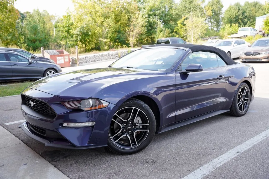2019 Ford Mustang EcoBoost Premium photo 3