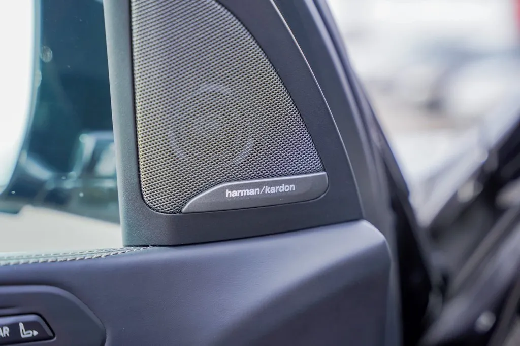 2019 Bmw X7 xDrive50i photo 3