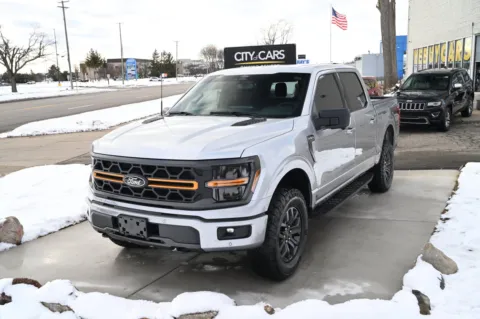 Silver 2024 Ford F-150 Tremor for sale in Troy, MI