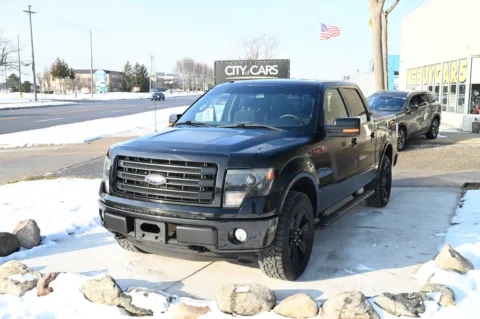 Black 2014 Ford F-150 FX4 for sale in Troy, MI