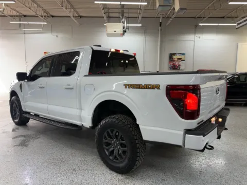 Another view of 2025 Ford F-150 Tremor for sale in Troy, MI at City of Cars