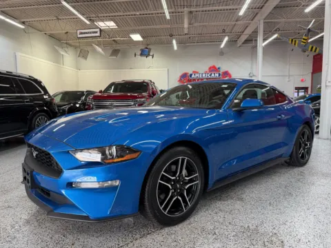 Blue 2019 Ford Mustang EcoBoost for sale in Troy, MI