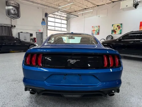 More photos of 2019 Ford Mustang EcoBoost at City of Cars, MI