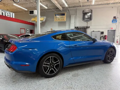 More photos of 2019 Ford Mustang EcoBoost at City of Cars, MI