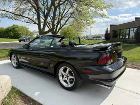 More photos of 1996 Ford Mustang Cobra at City of Cars, MI