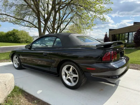 More photos of 1996 Ford Mustang Cobra at City of Cars, MI