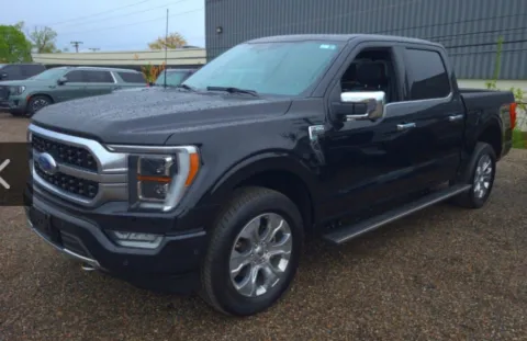 Black 2023 Ford F-150 Platinum for sale in Troy, MI