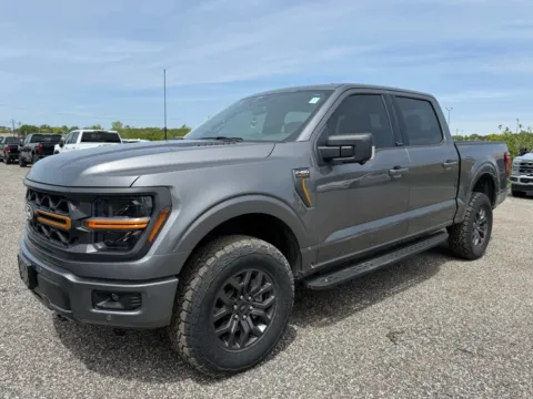 Gray 2025 Ford F-150 Tremor for sale in Troy, MI